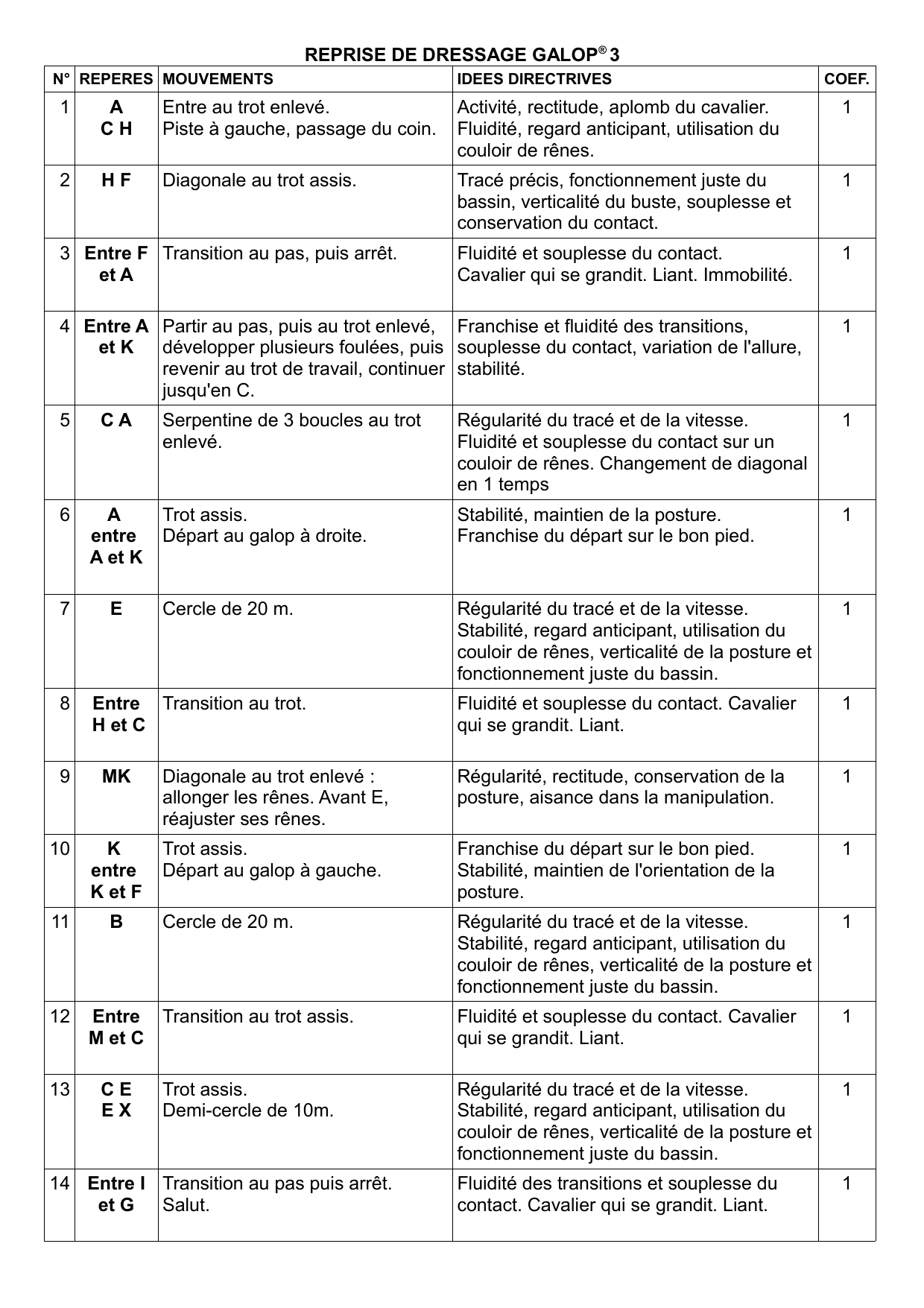 Cours de galop 2, pour un niveau plus élevé