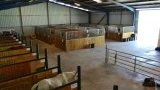 Cours d'équitation
