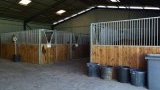 Cours d'équitation